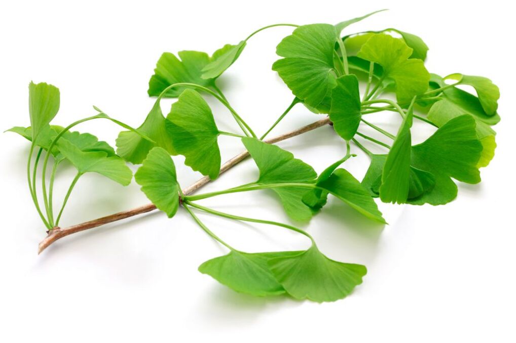 ginkgo biloba σε κάψουλες Insuvit